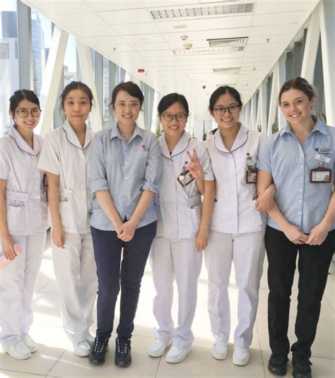 polyu sona|nursing polyu.